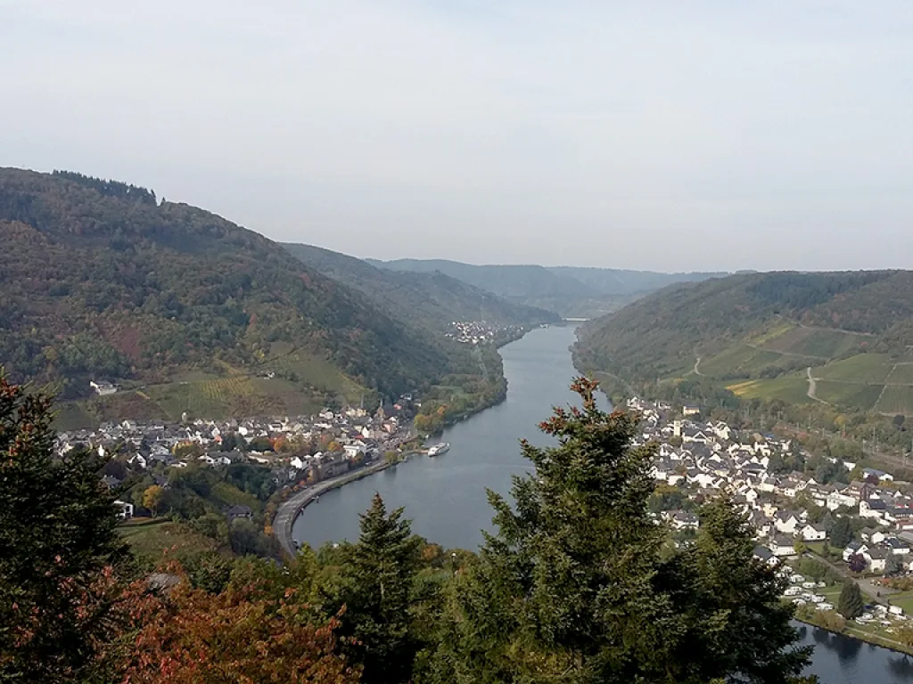 Blick über die Mosel auf ein Dorf zwischen Weinbergen.
